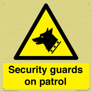 Security guards on patrol
